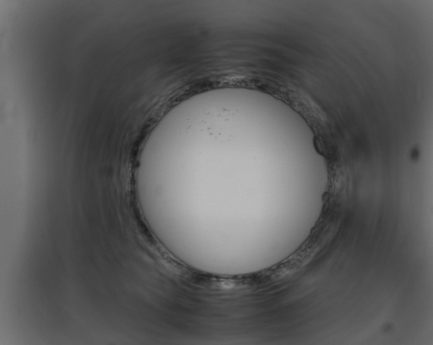 X0000097760565200803070839
