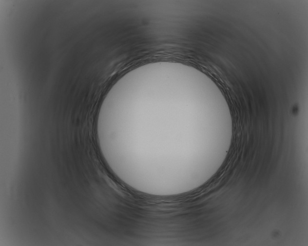 X0000097760568200803070839