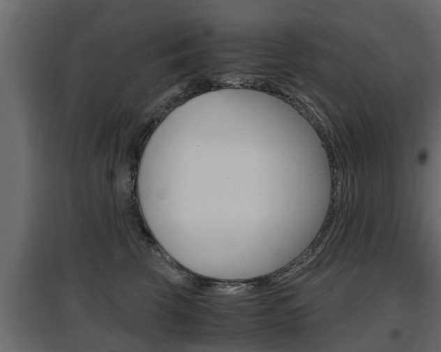 X0000097760569200803070839