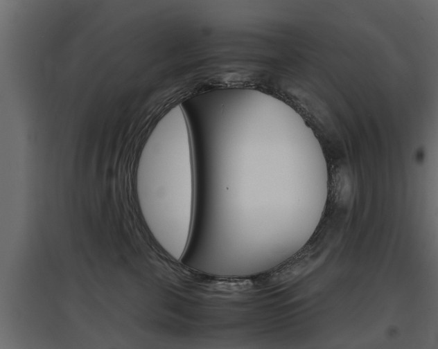 X0000097760571200803070839