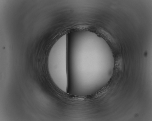 X0000097760572200803070839