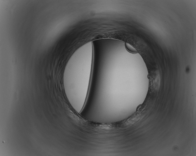 X0000097760574200803070839