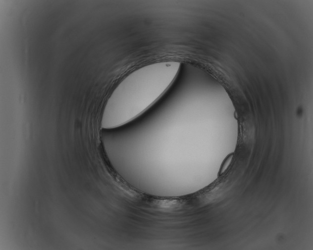 X0000097760575200803070839