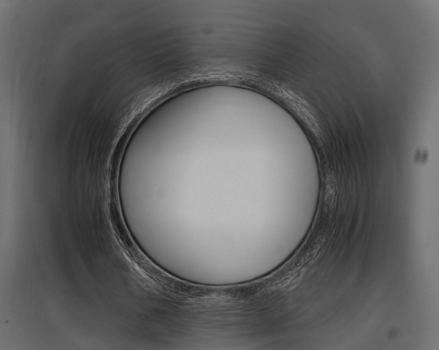 X0000097760578200803070838