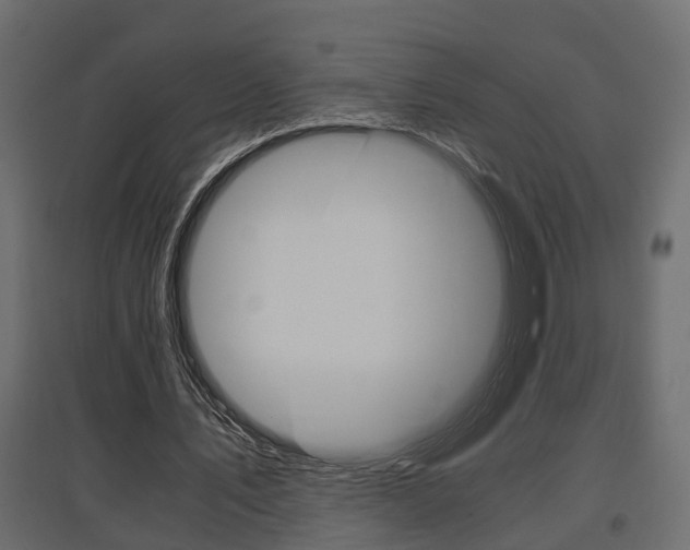 X0000097760579200803070838