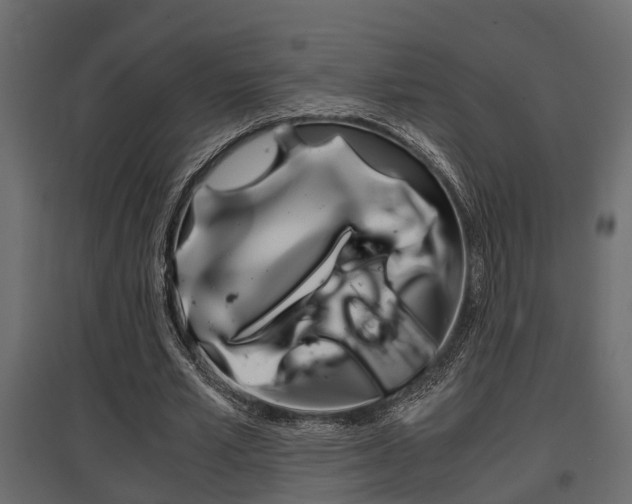 X0000097760581200803070838