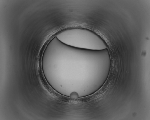 X0000097760582200803070838