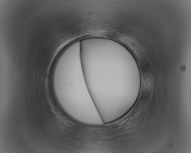 X0000097760583200803070838