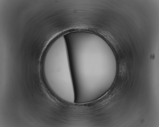 X0000097760584200803070838