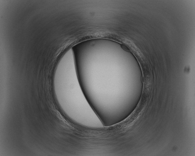 X0000097760585200803070838