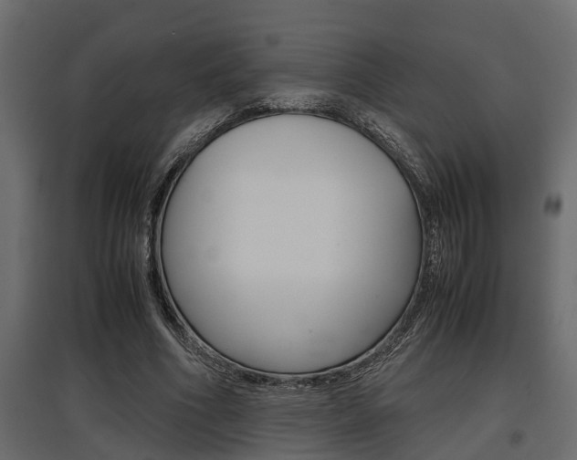 X0000097760586200803070838
