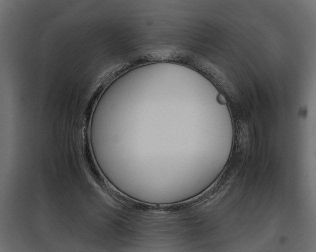 X0000097760590200803070838