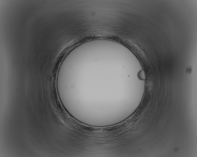 X0000097760591200803070838