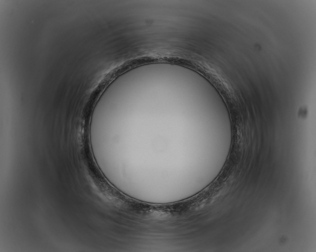 X0000097760592200803070838
