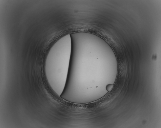 X0000097760594200803070838