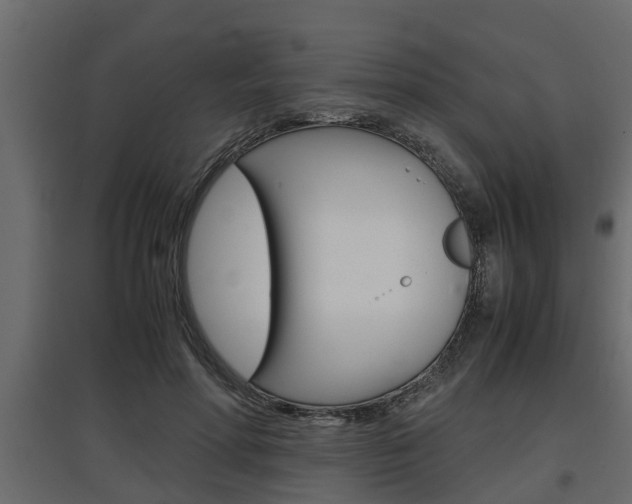 X0000097760598200803070838
