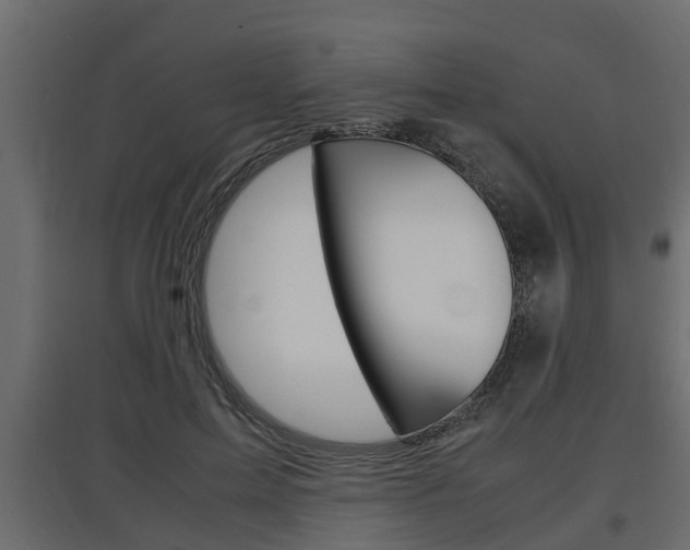 X0000097760599200803070838