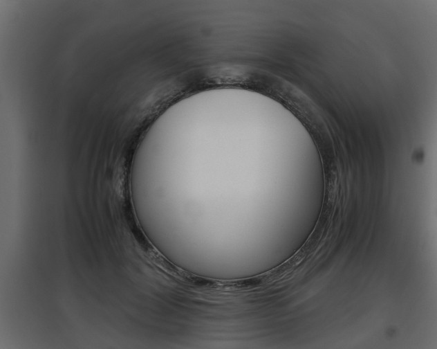 X0000097760604200803070838