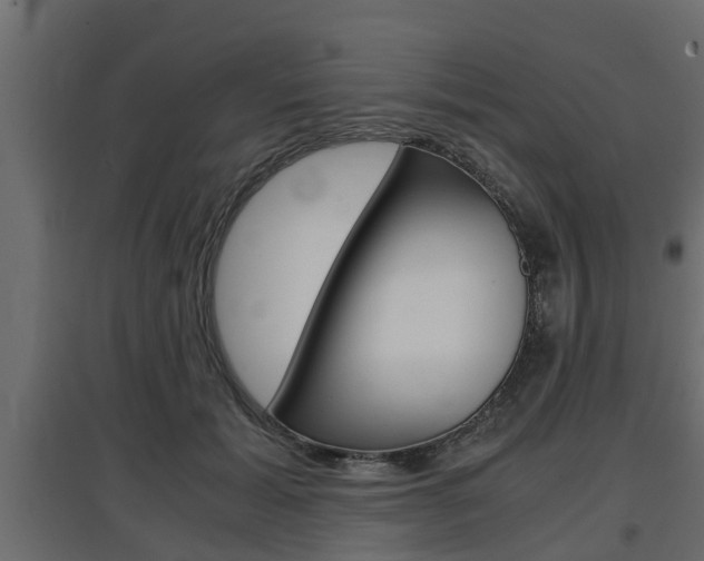 X0000097760605200803070838