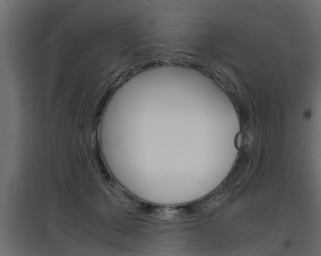 X0000097760607200803070838