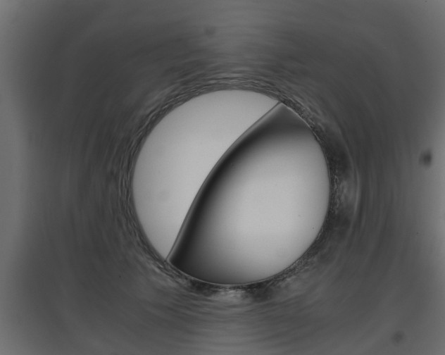 X0000097760609200803070838