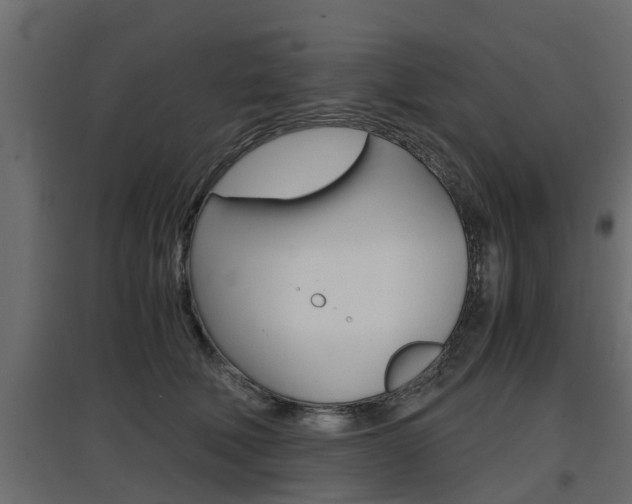 X0000097760610200803070838