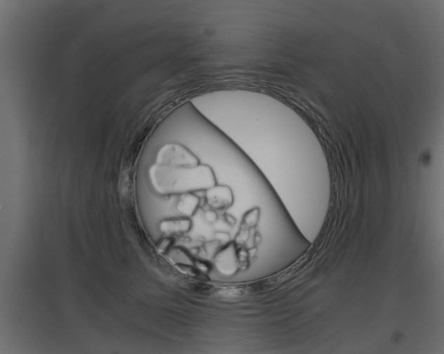 X0000097760611200803070838
