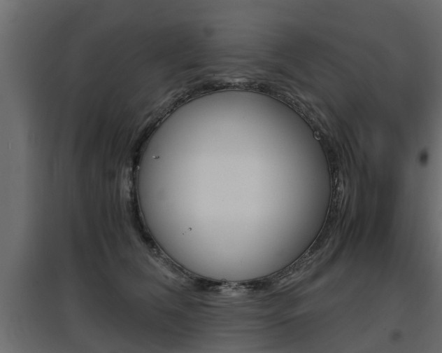 X0000097760612200803070838