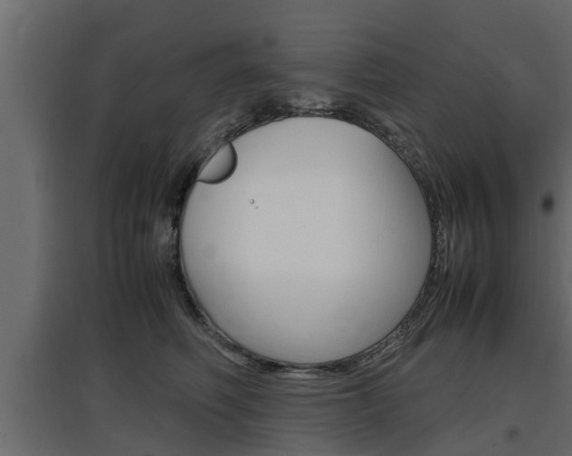 X0000097760614200803070838