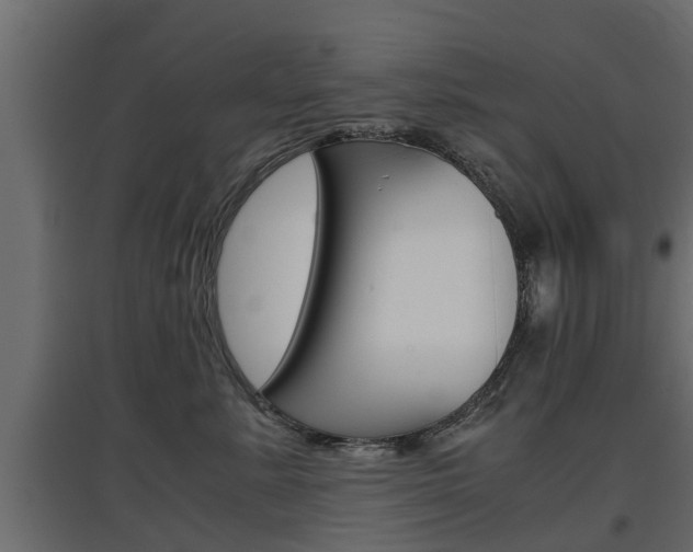 X0000097760619200803070838