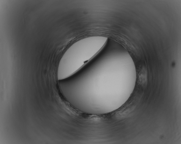 X0000097760620200803070838