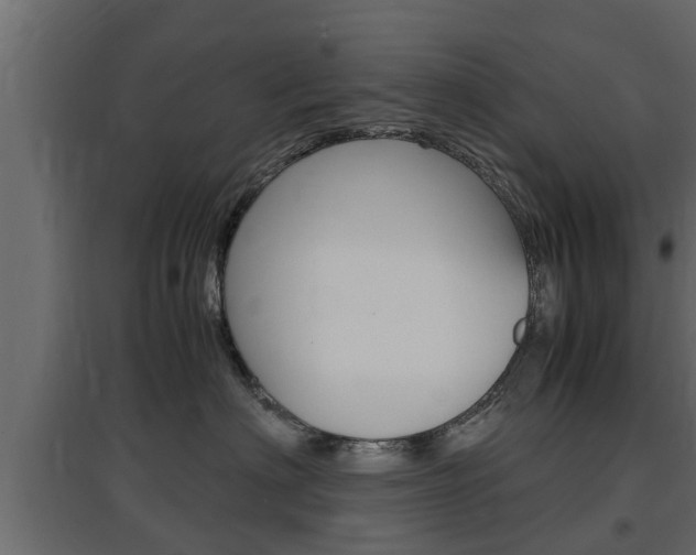 X0000097760622200803070838