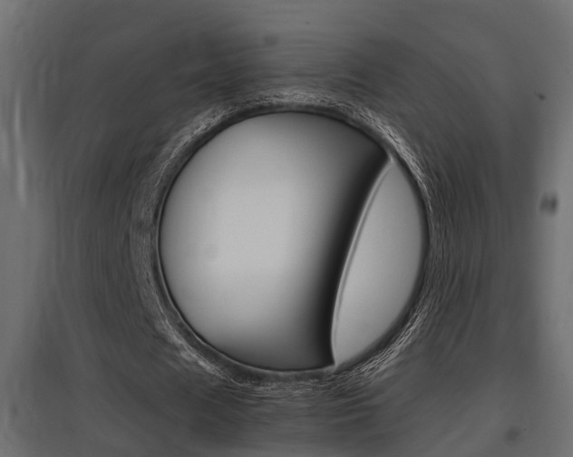 X0000097760625200803070837