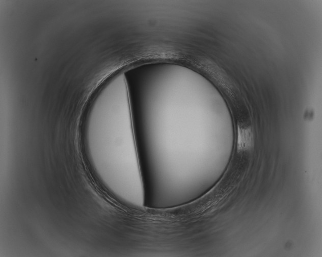 X0000097760627200803070837