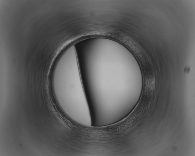 X0000097760628200803070837