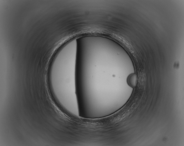 X0000097760629200803070837