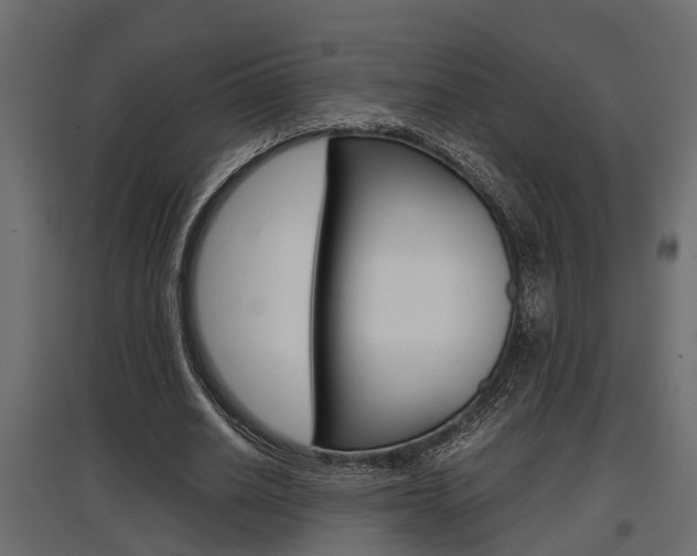 X0000097760630200803070837