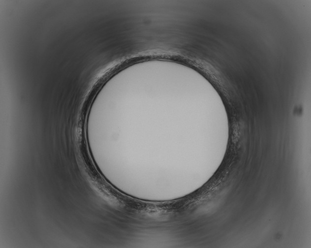 X0000097760632200803070837