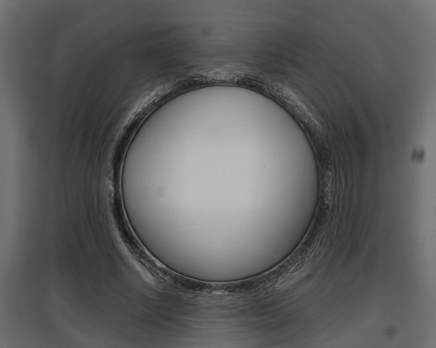 X0000097760634200803070837