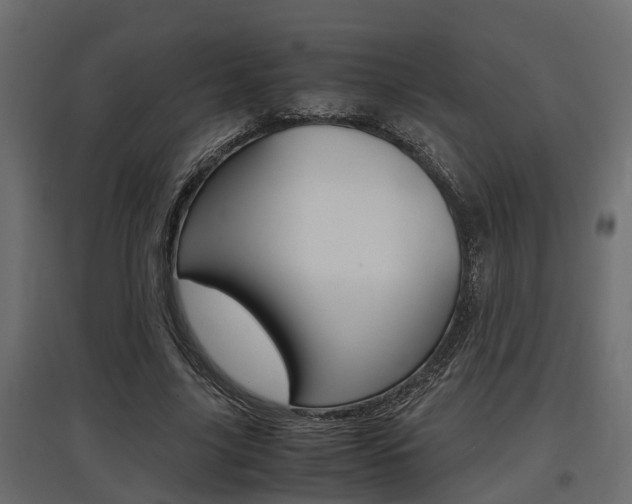X0000097760635200803070837