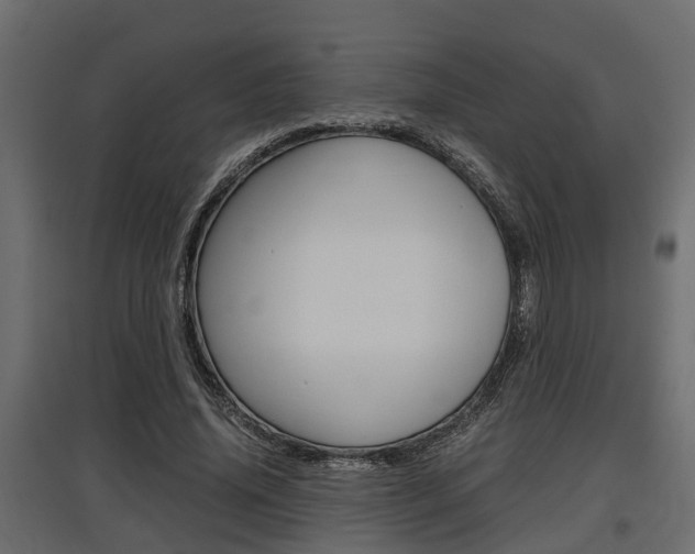 X0000097760636200803070837