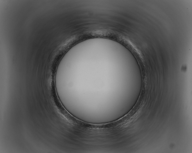 X0000097760637200803070837