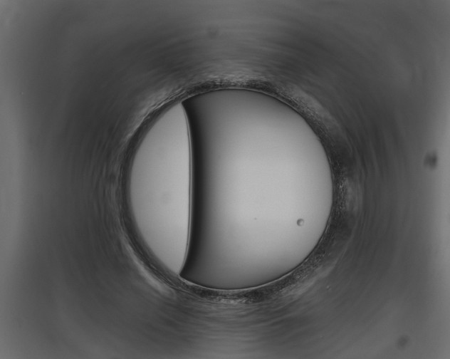 X0000097760638200803070837