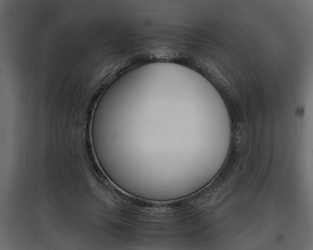 X0000097760639200803070837