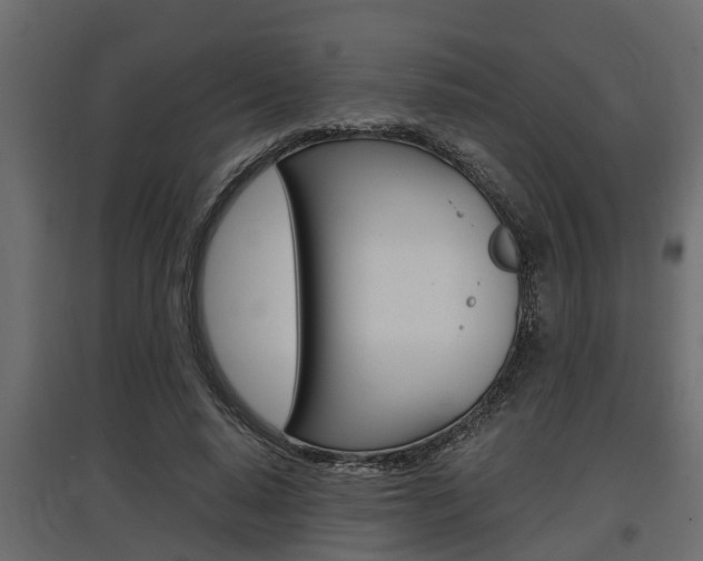 X0000097760640200803070837