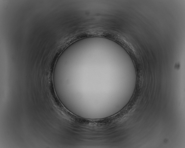 X0000097760641200803070837