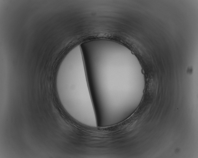 X0000097760643200803070837
