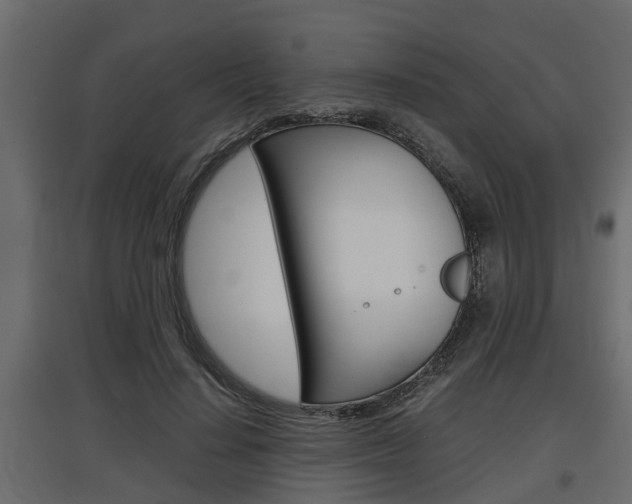 X0000097760644200803070837
