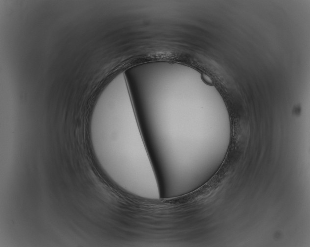 X0000097760645200803070837