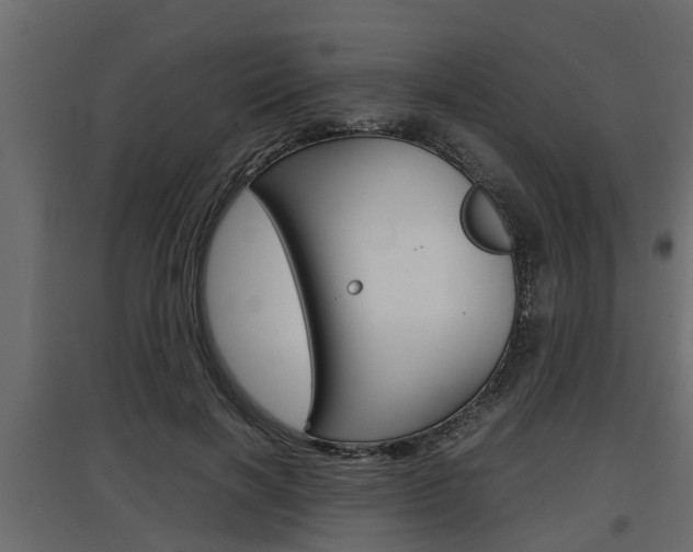 X0000097760646200803070837